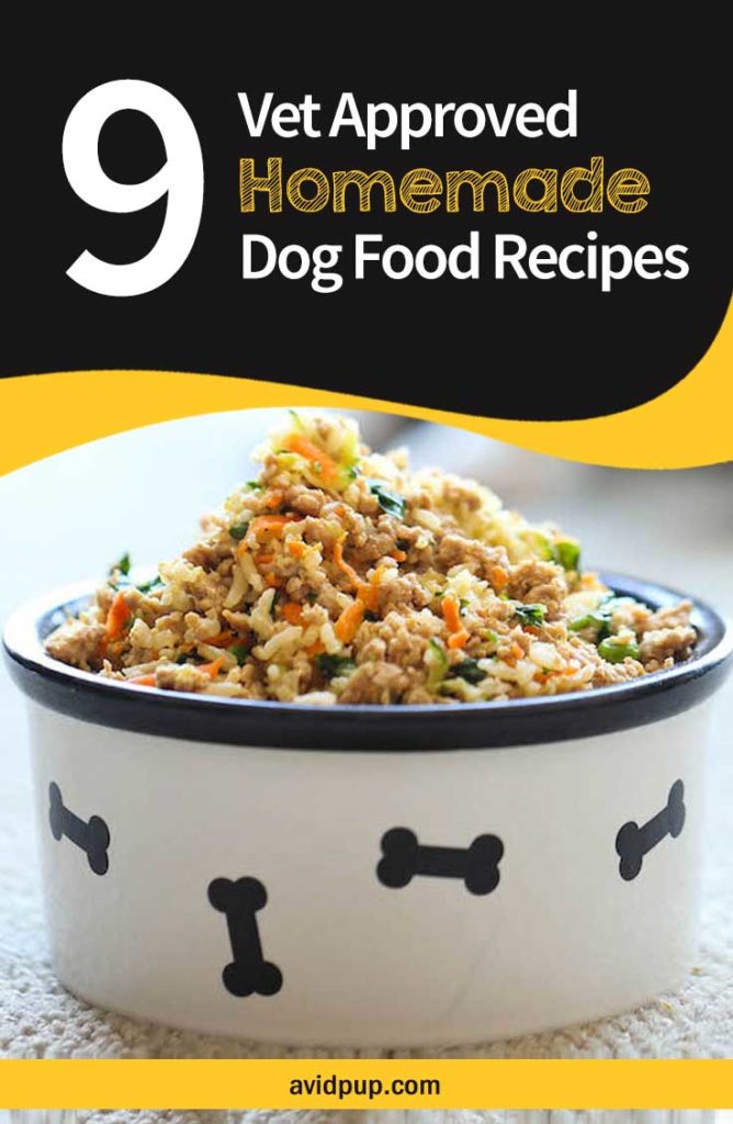 9-Vet-Approved-Homemade-Dog-Food-Recipes-for-a-Thriving-Pup | Avid Pup