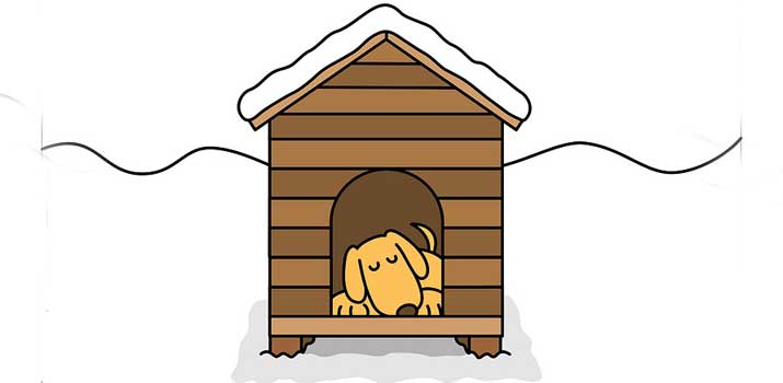 dog-lying-comfortably-in-a-heated-dog-house dog lying comfortably in a heated dog house
